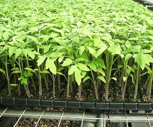 20171113121334787.jpg 20171113121334787.jpg