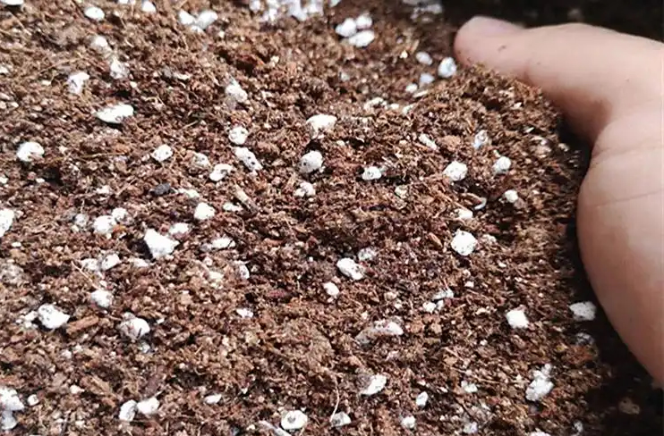 �����������������